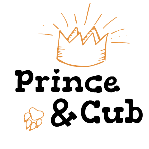 https://www.thehandcraftednappyconnection.com.au/images/logo%20prince%20_%20cub%20transparent.png